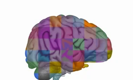 Loại thuốc diệt u ác tính sẽ trải qua thêm nhiều thử nghiệm với hy vọng có thể thành công để thử nghiệm trên người.