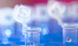 18 nhà khoa học từ khắp nơi trên thế giới đã kêu gọi một lệnh cấm toàn cầu trên tất cả các hình thức chỉnh sửa phôi người lâm sàng.