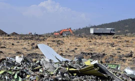 Chiếc máy bay Boeing 737MAX 8 của hãng hàng không Ethiopia đã lao xuống đất và nổ tung sau khi phi công bất lực trong việc điều khiển nó bay lên.