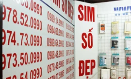 Sim số đẹp tới đây sẽ được tổ chức đấu giá