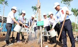 TPHCM trồng thêm hơn 2.800 cây xanh mừng sinh nhật Bác