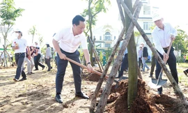 TPHCM phát động Tết trồng cây nhớ Bác, trồng mới 32.000 cây xanh ở Thủ Đức