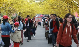 2.500 sinh viên TPHCM lên 'Chuyến xe mùa xuân' về quê đón Tết 