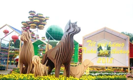 Quảng Ngãi làm đường hoa xuân quy mô