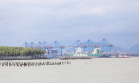 TPHCM duyệt đề án 'siêu cảng' Cần Giờ hơn 5,4 tỷ USD