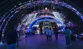 Rực rỡ 'khu vườn Giáng sinh' của sinh viên Sư phạm Kỹ thuật TPHCM 