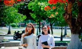 Nữ sinh Quảng Ngãi tỏa nắng bên khung trời phượng thắm