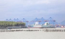 UBND TPHCM đề xuất khai thác 10 mỏ cát ở Cần Giờ làm đô thị lấn biển 