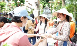 Nghìn người đến tổ đình sớt bát cúng dường các sư, thưởng thức buffet chay