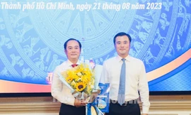 Phê chuẩn, tiếp nhận, bổ nhiệm, chỉ định nhân sự 5 tỉnh, thành