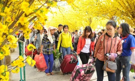 2.500 sinh viên về quê đón Tết Kỷ Hợi trên các chuyến xe nghĩa tình