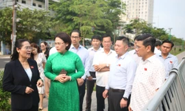 TPHCM: Ưu tiên bố trí vốn cho dự án kênh Hàng Bàng