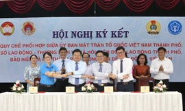 TPHCM: Cung cấp danh sách các đơn vị nợ tiền BHXH để thanh tra 