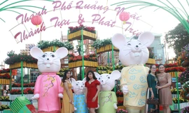 Người dân Quảng Ngãi rộn ràng 'check-in' với gia đình chuột ở công viên Ba Tơ 