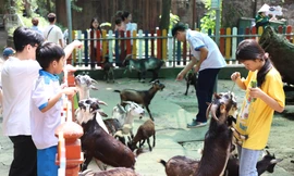 150 bạn nhỏ có hoàn cảnh đặc biệt thăm vườn thú lâu đời nhất Việt Nam
