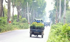 Tránh phát triển đô thị ngoại thành TPHCM theo 'vết dầu loang', tự phát