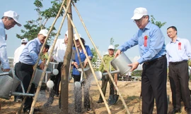 TPHCM phát động Tết trồng cây, đặt mục tiêu trồng 1 triệu cây xanh trong năm 2020