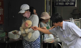 Ngắm nét yên bình ở khu phố Việt lọt top tuyệt vời nhất thế giới