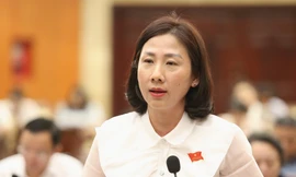 Đề xuất dành trên 900 tỷ đồng chăm lo Tết 2024 cho người nghèo, hộ chính sách tại TPHCM 