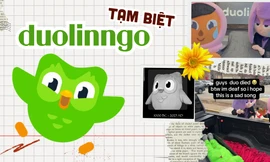 Duolingo chào tạm biệt: Cú xanh thực sự "đăng xuất" hay chiêu mới "dí" học bài?