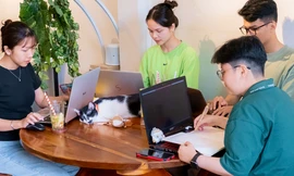 Thật chill cùng "mèo cứu hộ": Nhâm nhi đồ uống và mang "hoàng thượng" về nhà