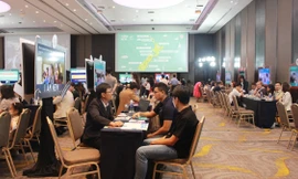 Du học New Zealand: Cơ hội cho teen mê ngành công nghệ, năng lượng và môi trường