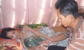 Sống thực vật sau tai nạn