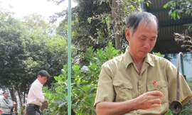 Một tay vẫn chơi đàn bầu điêu luyện