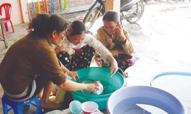 Một cơ sở tôm giống ở xã Long Toàn (Duyên Hải, Trà Vinh) không đủ tôm giống chất lượng để bán Ảnh: Diệu Hiền