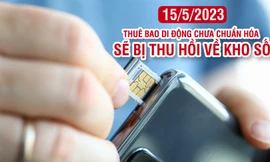 Hơn một triệu thuê bao di động chưa chuẩn hóa sẽ bị thu hồi về kho số