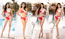 Nhan sắc xinh đẹp của dàn thí sinh cao trên 1m75 của Miss World Vietnam 2022