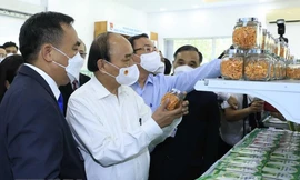 Hình ảnh Chủ tịch nước thăm khu Nông nghiệp công nghệ cao TP.HCM