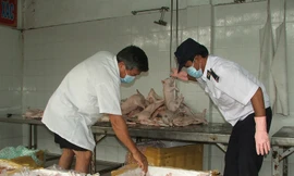 Thịt bẩn tiềm ẩn mối nguy hại cho sức khỏe vẫn hằng ngày tuồn vào TPHCM Ảnh: L.N