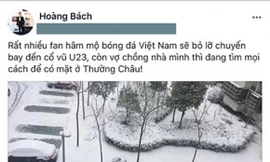 Hoa hậu Mỹ Linh và sao Việt rủ nhau sang Trung Quốc cổ vũ U23 Việt Nam