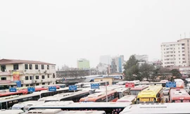 Chưa doanh nghiệp vận tải nào giảm cước