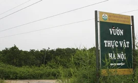Không cho 'xẻ thịt' Vườn thực vật Hà Nội