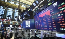 TTCK thế giới đã rơi vào cơn hoảng loạn khiến TTCK trong nước cũng phản ứng mạnh không kém 