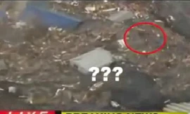 Ảnh chụp từ video