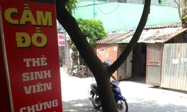 Cơn lốc cắm thẻ, cầm bằng