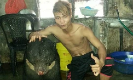 Sẽ xử nghiêm thanh niên giết gấu