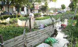 Hình ảnh hoang tàn trong công viên bị 'bỏ quên' tại Hà Nội