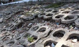 Bờ kè hồ Trúc Bạch xuống cấp, sụt lún nghiêm trọng