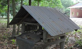 Lạ lùng nơi người chết được chôn cùng... rắn độc