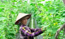 Lần đầu tiên có giải báo chí về Bình đẳng giới
