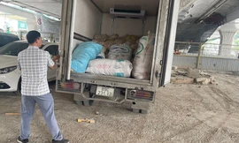 Cơ quan chức năng phát hiện 1,1 tấn mỡ lợn đang trong quá trình phân hủy được đưa đến huyện Đan Phượng tiêu thụ