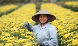 Hà Nội cho phép 36 loại cây được chuyển đổi trên đất trồng lúa