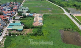 Đề xuất cho phép xây dựng công trình trên đất nông nghiệp: Lo ngại biến tướng
