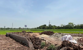 Hà Nội: Để xảy ra vi phạm về đất đai, 2 chủ tịch xã bị tạm đình chỉ 