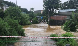 Khu vực ngầm ở xã Đông Xuân nơi xảy ra vụ việc. Ảnh: Tiến Linh