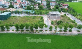 Cổ phần hóa chậm do tắc ở khâu phê duyệt phương án sử dụng đất